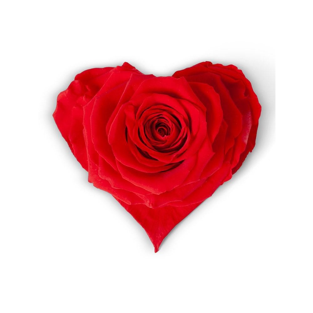 ROSA HEART SMALL RED